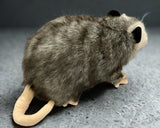 12-inch Weighted Possum, Opossum, up to 4lbs