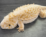 Weighted Bearded Dragon / Komodo Dragon – 40″ × 13″ (Up to 20 lbs)