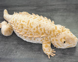 Jumbo weighted bearded dragon (komodo, lizard) plush, tan pattern, 40" x 13" laying on gray surface.
