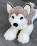Close-up of soft husky weighted stuffed animal with premium plush gray and white fur and soft blue eyes.