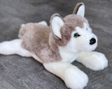 Gray and white weighted husky plush lying down, 19 inches, premuim fur and soft blue eyes.