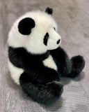 19-inch Weighted Panda Bear, up to 8lbs