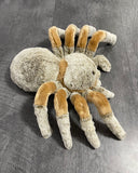 Weighted Tarantula Plush — 13" Body / 24" Leg Span (Up to 4 lbs)