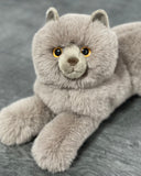 Close-up of plush Persian cat’s fluffy face and paws, soft gray fur, weighted cuddle toy.