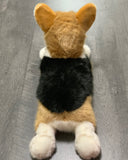 19" weighted corgi in laying pose. Top down view of back showing wide loaf body and black, tan, and white tri-coloring.