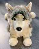 Up close frontal view of weighted wolf in laying position, with realistic fur, lifelike brown eyes, and a black nose.