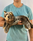 Weighted Maine Coon Cat – 20" Lifelike Plush (Up to 4 lbs)