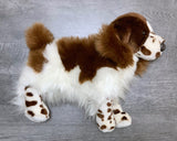 Weighted Ogilvy Spaniel – 15" (Up to 3 lbs)
