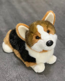 Weighted Corgi Plush – 13" (Up to 3 lbs)