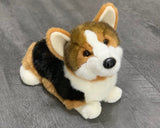 13-inch weighted tri-color corgi plush, sitting loaf pose on gray wood surface.