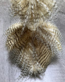 Weighted Ostrich Plush – 19" Feathery Lap Buddy (Up to 5 lbs)