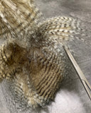 Weighted Ostrich Plush – 19" Feathery Lap Buddy (Up to 5 lbs)