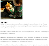 Weighted Calico Cat Plush — 19" (Up to 4 lbs)