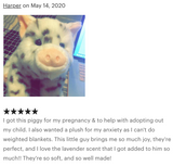 Weighted Spotted Pig Plush — 17" Chubby Cuddles (Up to 5 lbs)