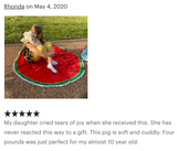 Weighted Spotted Pig Plush — 17" Chubby Cuddles (Up to 5 lbs)