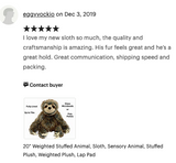 Weighted Sloth Plush — 20" Soft Big Hugs (Up to 8 lbs) 14” sitting