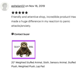 Weighted Sloth Plush — 20" Soft Big Hugs (Up to 8 lbs) 14” sitting