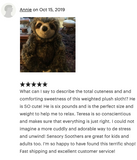 Weighted Sloth Plush — 20" Soft Big Hugs (Up to 8 lbs) 14” sitting