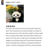 19-inch Weighted Panda Bear, up to 8lbs