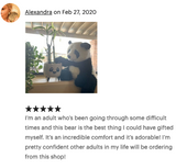 19-inch Weighted Panda Bear, up to 8lbs