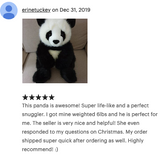 19-inch Weighted Panda Bear, up to 8lbs