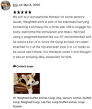 19" Weighted Corgi Plush (Up to 6 lbs)