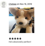 19" Weighted Corgi Plush (Up to 6 lbs)