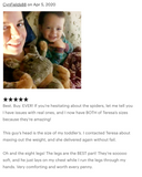 Weighted Tarantula Plush — 13" Body / 24" Leg Span (Up to 4 lbs)