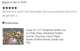 Weighted Tarantula Plush — 13" Body / 24" Leg Span (Up to 4 lbs)