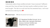 Weighted Black Lab Plush — 23" Ultra-Soft, Floppy Dog (Up to 9 lbs)