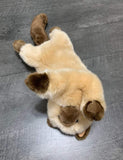 Weighted Himalayan Cat Plush — 15" (Up to 3lbs)