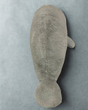25-inch Weighted Manatee, up to 12lbs