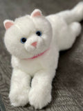 Weighted white cat plush lying on gray surface, blue eyes and pink nose, 15 inches, 2.5lbs.