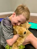 31-inch Weighted Golden Retriever, up to 18lbs