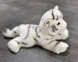 13-inch White Tiger Cub, 2lbs