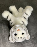 13-inch White Tiger Cub, 2lbs