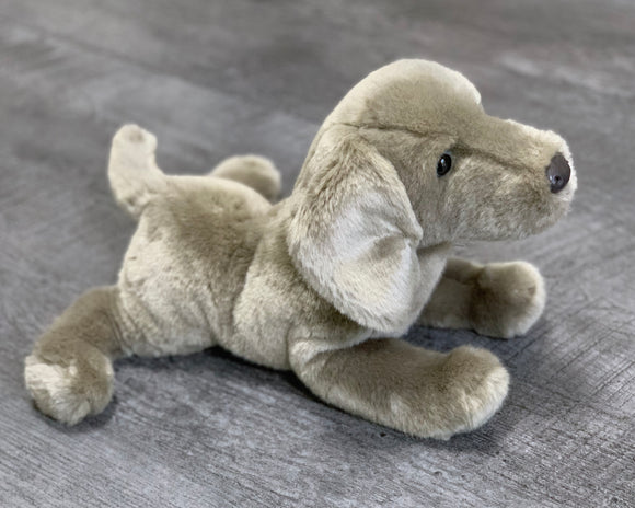 Weighted Weimaraner Pup – 15