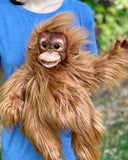 19-inch Weighted Baby Orangutan Puppet, up to 4lbs
