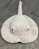 40-inch Weighted Stingray, up to 10lbs