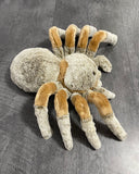 13-inch by 24-inch Weighted Spider, Tarantula, up to 4lbs