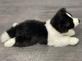 24-inch Weighted Border Collie, up to 10lbs
