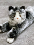 20-inch Weighted Black and White Cat, up to 4lbs