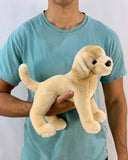 15-inch Weighted Labrador Retriever, Yellow Lab, up to 3lbs