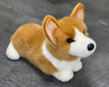 Realistic tan and white corgi dog weighted stuffed animal for anxiety, ASD, PTSD, ADHD, dementia, sensory soothers.