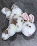 18-inch Weighted Spotted Bunny, Up To 4lbs