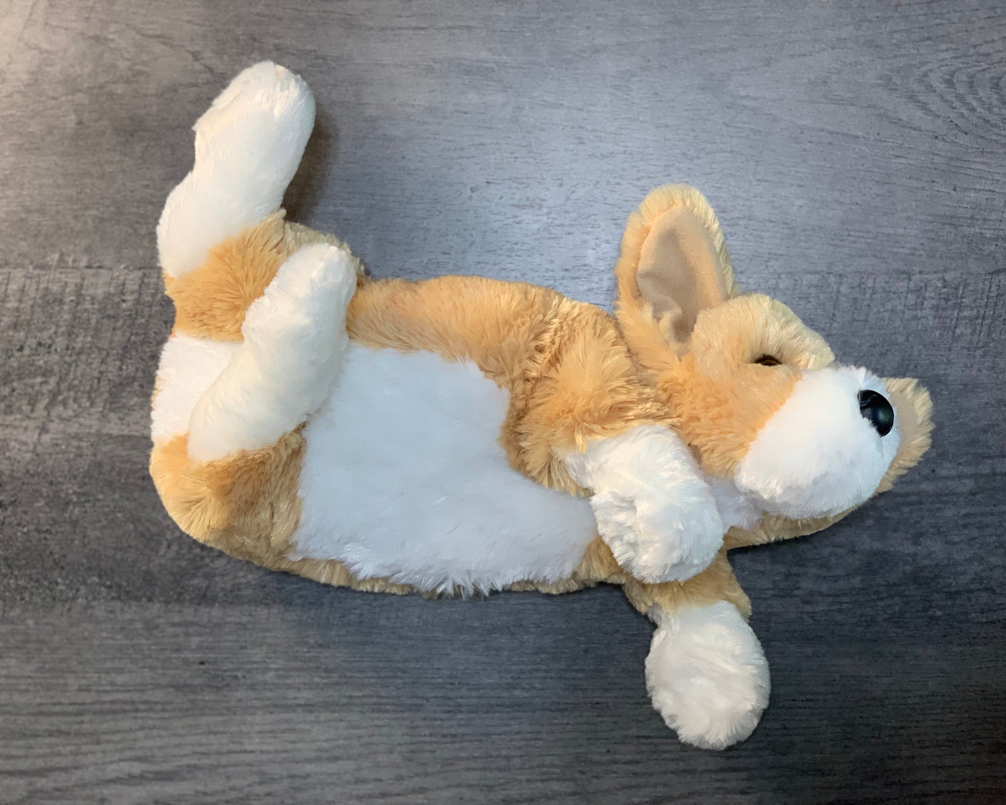 Weighted Corgi Weighted Stuffed Animal Autism Sensory Animal ADHD. Sensory Soothers
