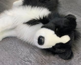 15-inch Weighted Border Collie, up to 3lbs