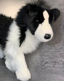 15-inch Weighted Border Collie, up to 3lbs