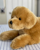 31-inch Weighted Golden Retriever, up to 18lbs