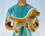 15-inch Weighted Golden Retriever, up to 3lbs